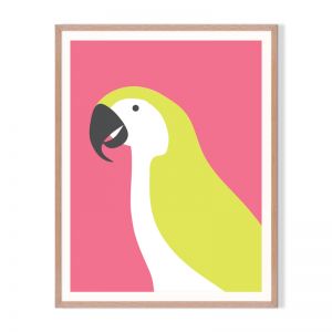 Macaw | Framed Print by Little Laneway