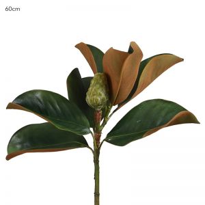 Magnolia Bud | Green