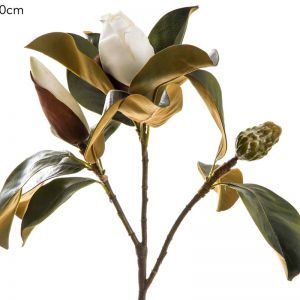 Magnolia Bud | White