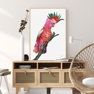 Mardi the Colourful Cockatoo Parrot Fine Art Print by Pick a Pear | Framed