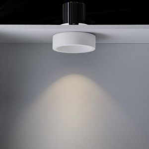 Mfl Gypsum Fixed Warm White Dim Downlight Concrete | Beacon Lighting