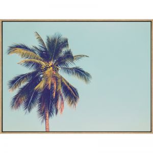 Miami Blue | Shadow Framed Art