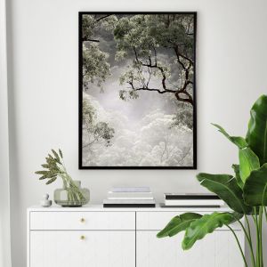 Misty Gum Trees | Framed Canvas Art Print