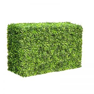 Mixed Boxwood Hedge | UV Resistant | 50cm x 100cm