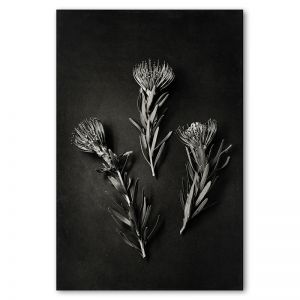 Monochrome Pins 1 | Art print by Natascha van Niekerk | Unframed