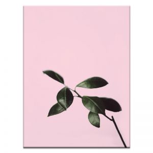 Musk Twig | Prints and Canvas | Photographers Lane