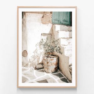 Olive Tree | Framed Print | 41 Orchard