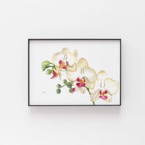 Orchid White Living Wall Art Print | by Pick a Pear | Unframed