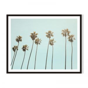 Palm Drive | Framed Print by Artefocus