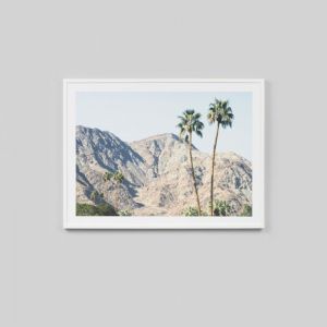 Palm Hills | Framed Photographic Print
