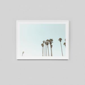 Palm Sky | Framed Photographic Print