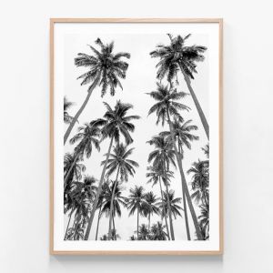 Palm Sky | Framed Print | 41 Orchard