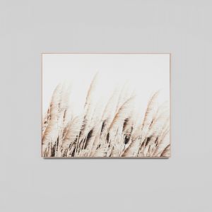 Pampas Breeze | Framed Print | by Matthew Thomas