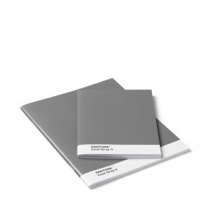 Pantone Booklets Set of 2 Cool Gray 9