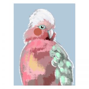 Pastel Birdy | Framed Art Print on Acrylic
