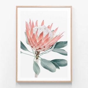 Peach Protea | Framed Print | 41 Orchard