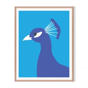 Peacock | Framed Print by Little Laneway