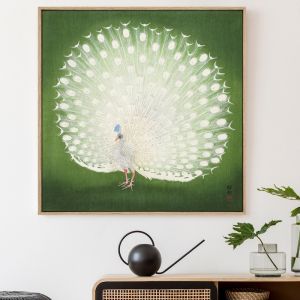 Peacocking | Shadow Framed Art