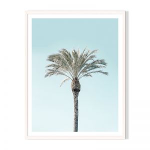 Perfect Palm | Framed Print by Artefocus