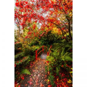 Photography | Mount Macedon | Unframed Print or Canvas by Nick Psomiadis