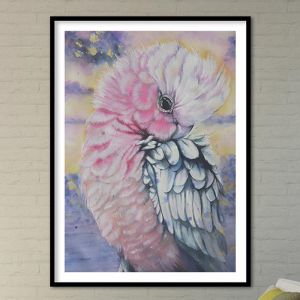 Pink Galah Parrot Watercolor Art Print | ACRYLIC Limited Edition Print by Antuanelle
