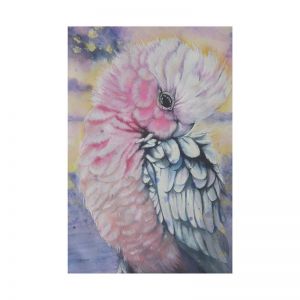 Pink Galah Parrot Watercolor | Limited Edition Print by Antuanelle