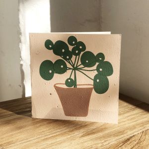 Plantable Cards on Handmade Recycled Paper l Lefse