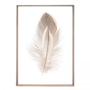 Plummet Feather | Framed Print