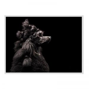 Posh Poodle | Framed Art Print