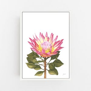Protea 1 Living Wall Art Print | by Pick a Pear | Canvas
