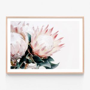 Protea Bouquet | Framed Print | 41 Orchard