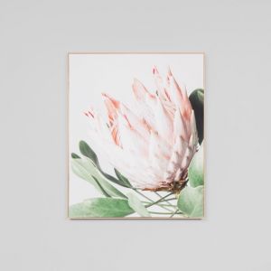 Protea Flower Canvas