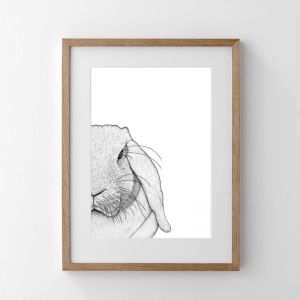Rebekah the Rabbit | Print