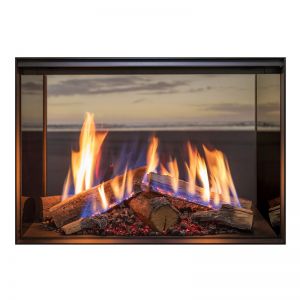 Rinnai LS 800 Gas Fire | Double Sided