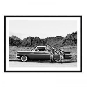 Roadtrip Zebra | Framed Art Print