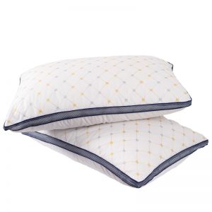 Royal Comfort Luxury Chiro Comfort Air Mesh Pillows | 2 Pack