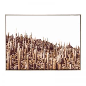 Saguaro | Framed Canvas Print