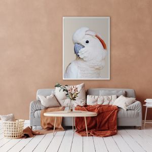 Salmon Crested Cockatoo | Framed Canvas Art Print