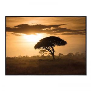 Savanna Landscape | Framed Canvas Print