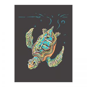 Sea Turtle Dive | Framed Art Print on Acrylic