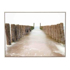 Seaside Sentinels | Framed Canvas Print
