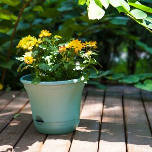 Self Watering Planter Pot | Set Of 2