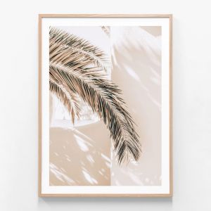 Shaded Palm | Framed Print | 41 Orchard