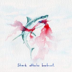 Shark attacks beetroot | Original Watercolour Artwork