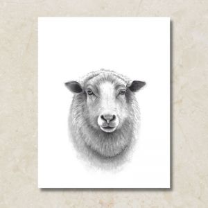 Sheep | Canvas Print by Cathy Hamilton