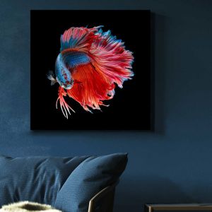 Siamese Swimmer - Type 2 | Stretched Canvas