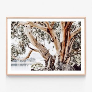 Snowy Mountains  | Framed Print | 41 Orchard