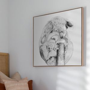 Snuggly Koalas | Canvas Print