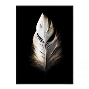 Spear Feather | Framed Print