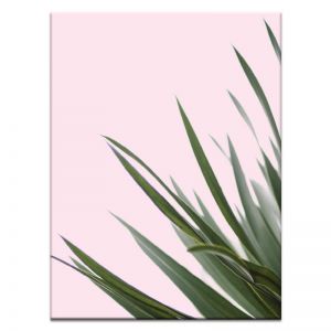 Spikes | Prints and Canvas by Photographers Lane